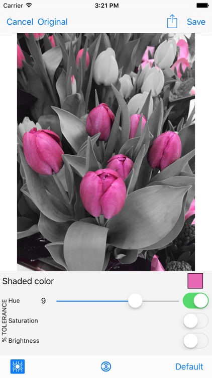 Shaded - Photo Color Modifier