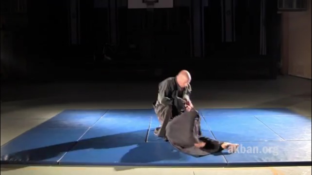 Ninjutsu(圖5)-速報App