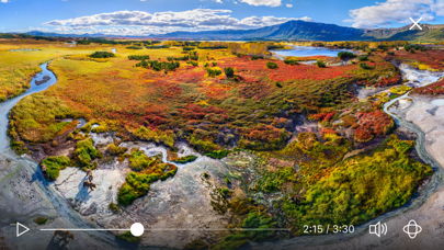 Screenshot #3 pour Bears 360°