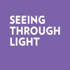 Seeing Through Light: Selections from the Guggenheim Abu Dhabi Collection
