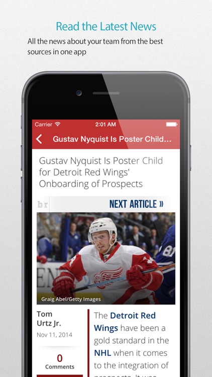 Detroit Hockey Alarm Pro