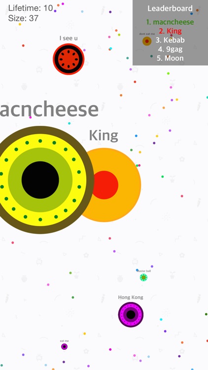 Crazy Dot Party: the kingdoms of dots ~ paradise of trivia game in blob.io version