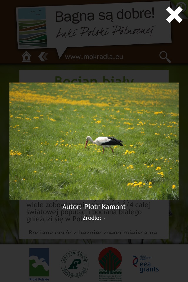 Ptaki i przyroda mokradeł screenshot 3