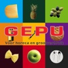 GEPU