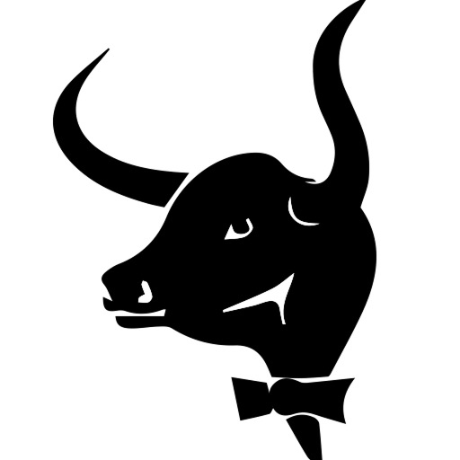 Señor Toro icon