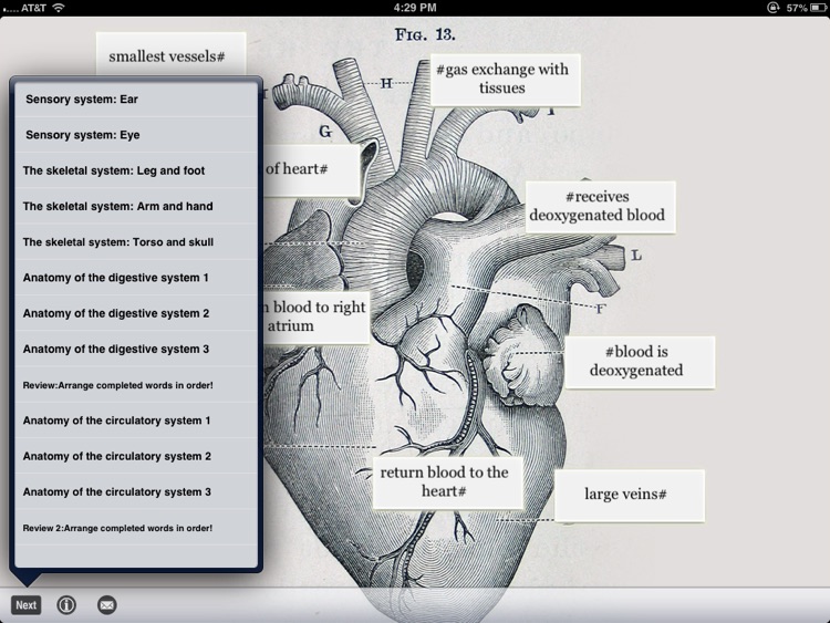 SLC: Anatomy and Physiology screenshot-4