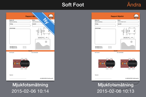 Soft Foot for ALiSENSOR® ShaftLaser® screenshot 2