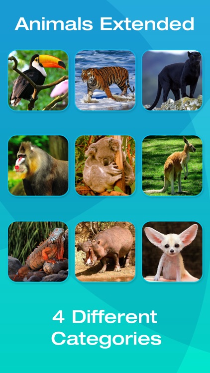 Safari and Jungle Animal Picture Flashcards for Babies, Toddlers or Preschool screenshot-3