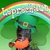 Leprechaun Pictures Editor