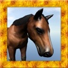 Mustang Horse Simulator 3D
