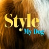 Style My Dog