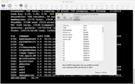 Telnet iphone bilder 3