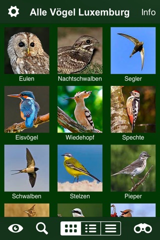 Alle Vögel Luxemburg - ein vollständiger Naturführer zu allen Vogelarten Luxemburgs screenshot 3