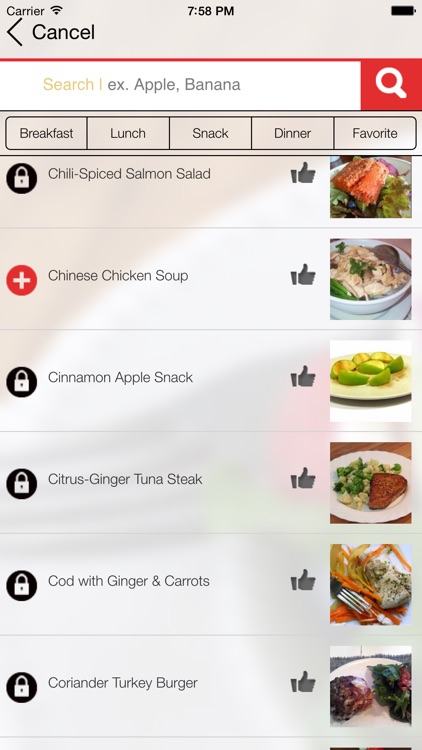 17 Day Diet Meal Plan