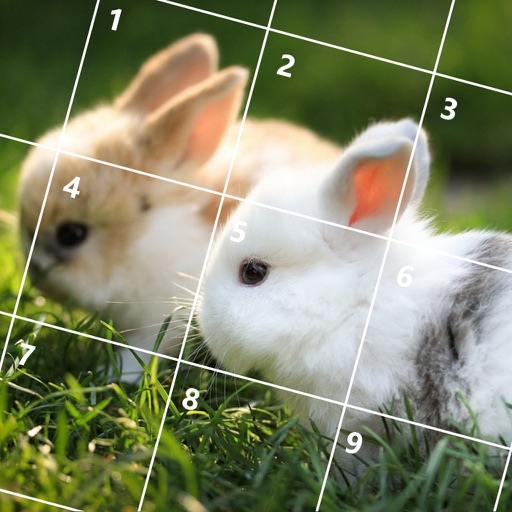 Rabbit Jigsaw Puzzles icon