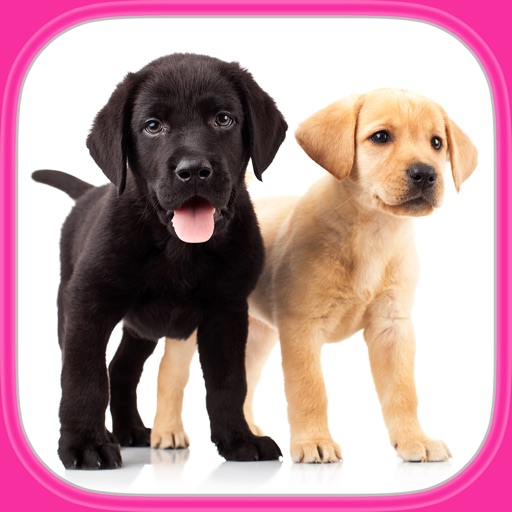 Cute Dogs & Puppies Puzzles - Logic Game for Toddlers, Preschool Kids, Little Boys and Girls iOS App