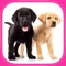 Cute Dogs & Puppies Puzzles - Logic Game for Toddlers, Preschool Kids, Little Boys and Girls