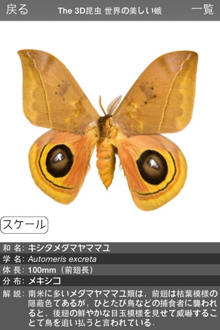 The 3D昆虫 III screenshot 4