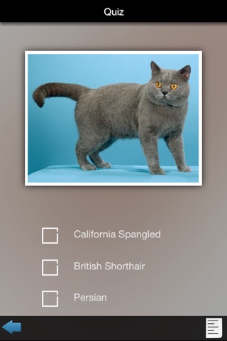 Cat Breeds Guide screenshot 4