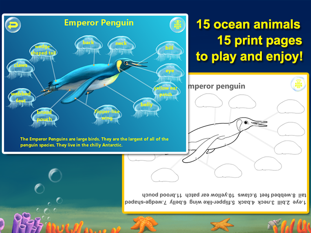 Amazing Ocean Animals- Educational Learning Apps for Kids Free screenshot 10