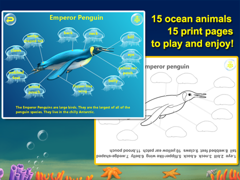 Amazing Ocean Animals- Educational Learning Apps for Kids Freeのおすすめ画像5