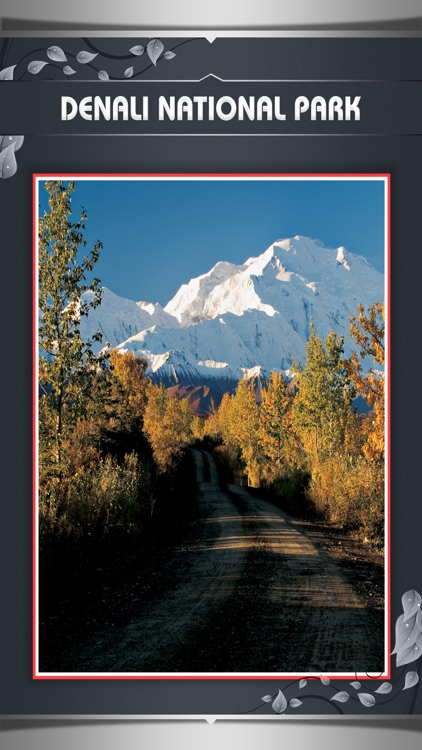 Denali National Park Tourism Guide