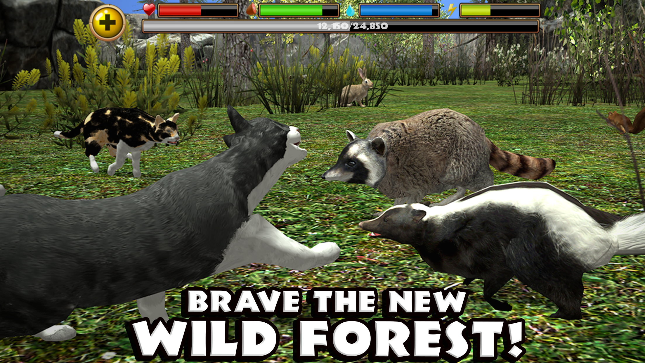 Stray Cat Simulator