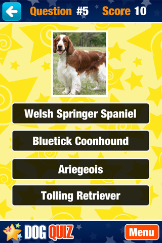 Dog Quiz. screenshot 2