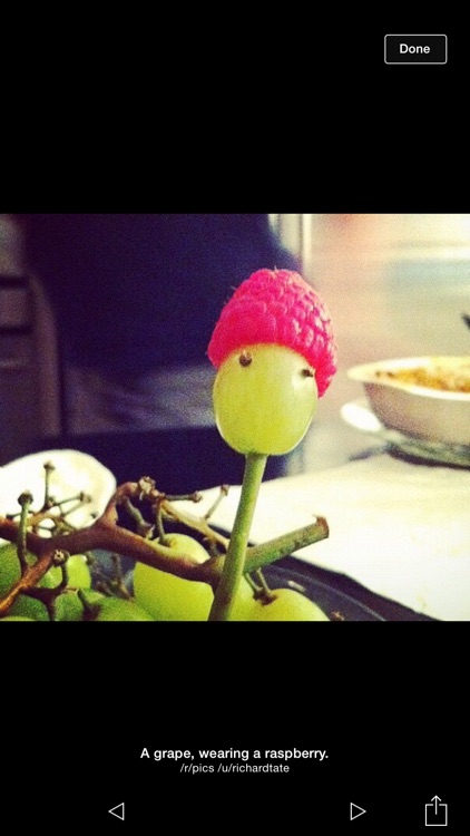 Albie - The Reddit Album Viewer