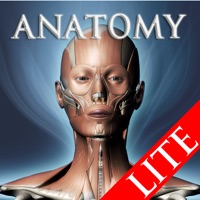 DS ANATOMY HEAD & NECK MUSCULOSKELETAL SYSTEM Lite