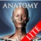 The DS Anatomy H&N Lite is a free 3D anatomical app specialized for head and neck of human body