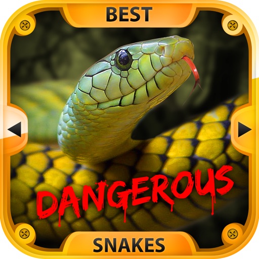 The Best Dangerous Snakes icon