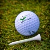 Golfbaan App