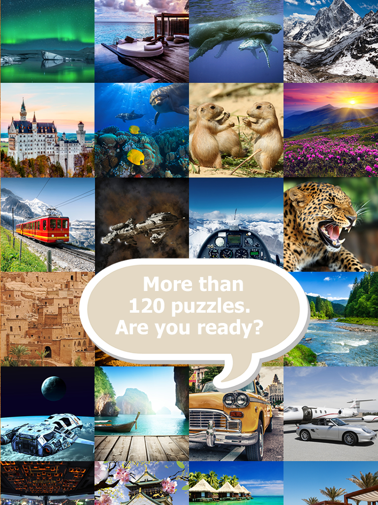 Jiggy Jigsaw Puzzle