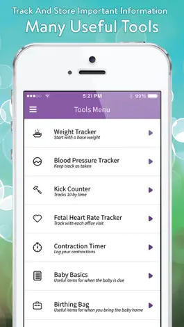 Game screenshot Pregnancy View hack
