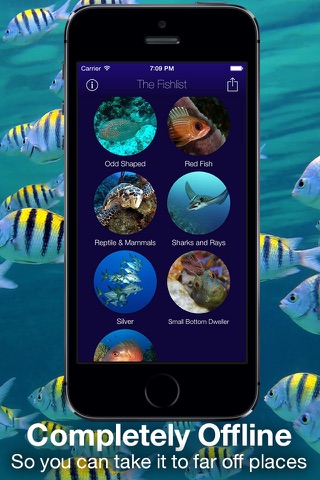 Fishlist: Caribbean screenshot 2