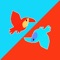 Toucan Flight is a fun game best played by two players, both tapping on the same phone