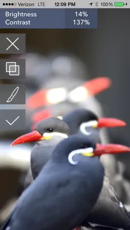 Game screenshot Filterstorm Neue hack