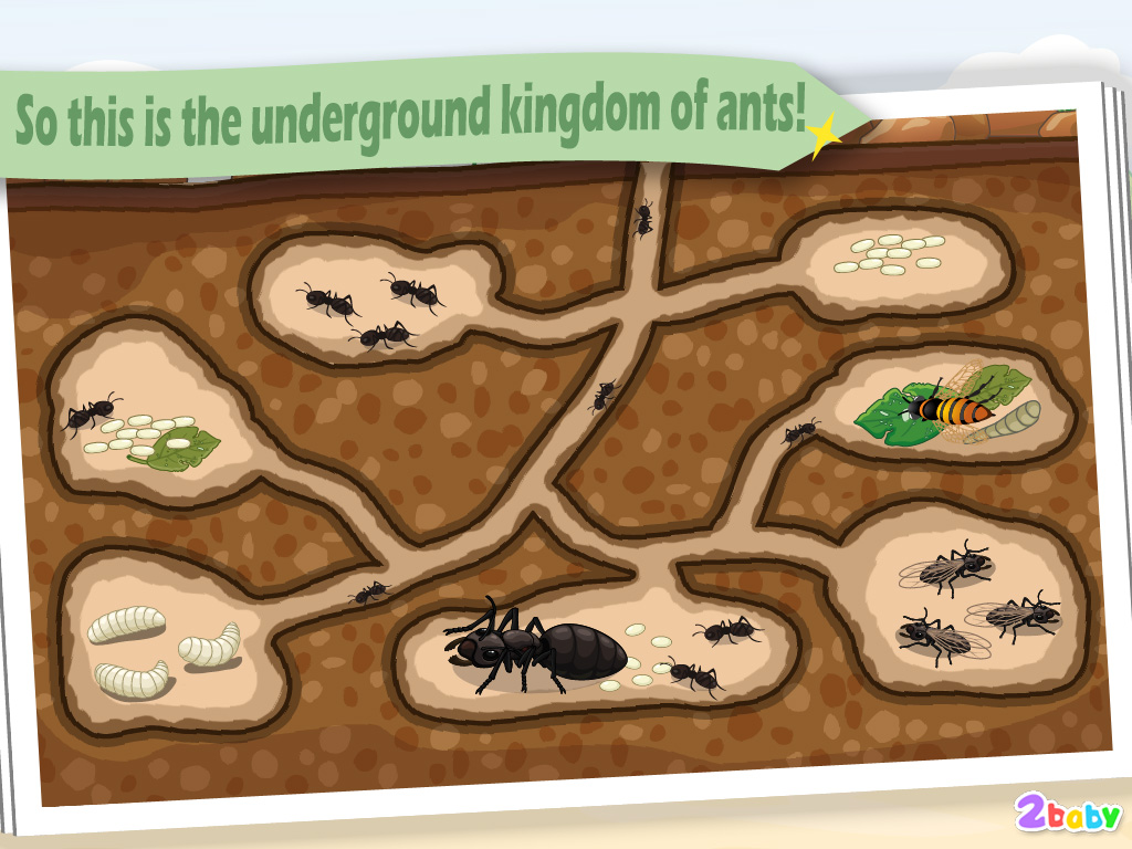 Ant - InsectWorld  A story book about insects for children screenshot 8