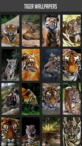 Game screenshot Tiger Wallpaper mod apk