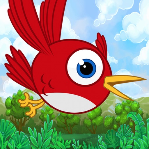 Happy Birds Adventure