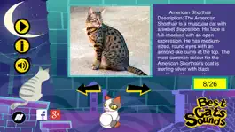 Game screenshot Лучшие кошки звучит hack