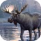Moose hunting calls is the best application for professional Moose hunters