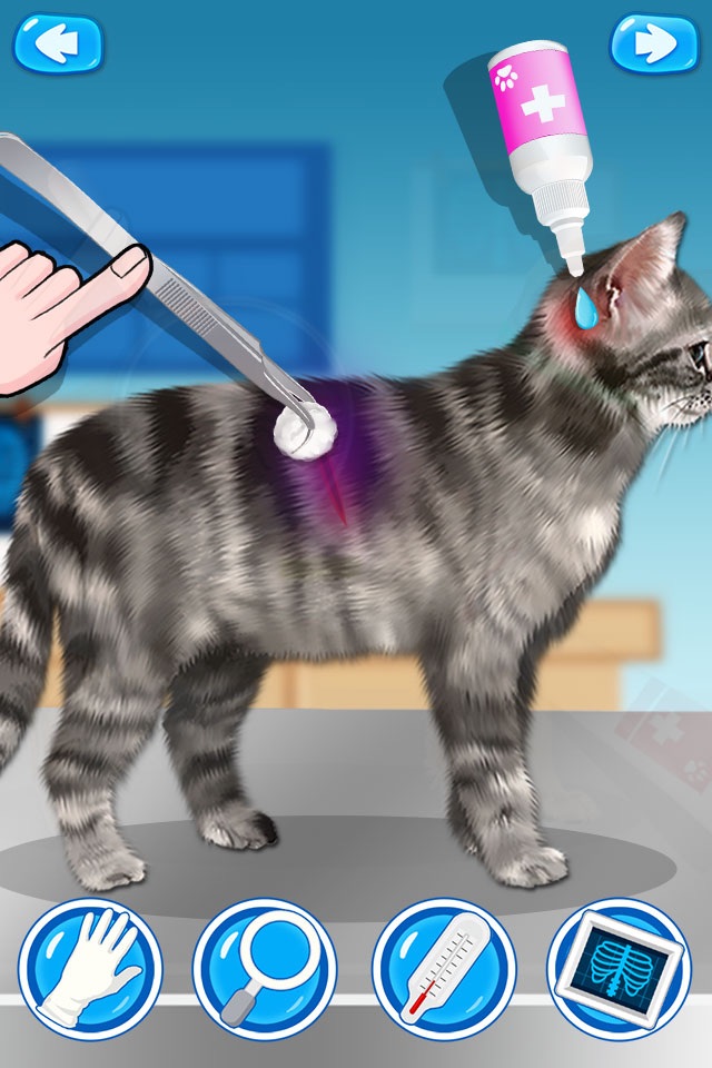 Pet Vet Doctor 2 - Dog & Cat Rescue! Animal Hospital screenshot 2