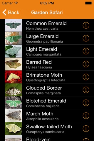 Gardensafari Moths and Butterflies screenshot 2