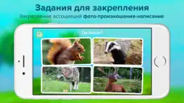 Кто тут? Учим животных вместе с детьми + развивающие карточки + звуки зверей детям бесплатно айфон картинки 3