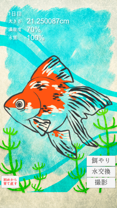 金魚育成アプリ-簡単なお世話でキンギョを育てる癒しのゲームのおすすめ画像3