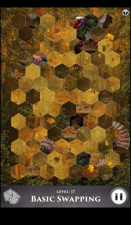 Hidden Scenes - Holidays