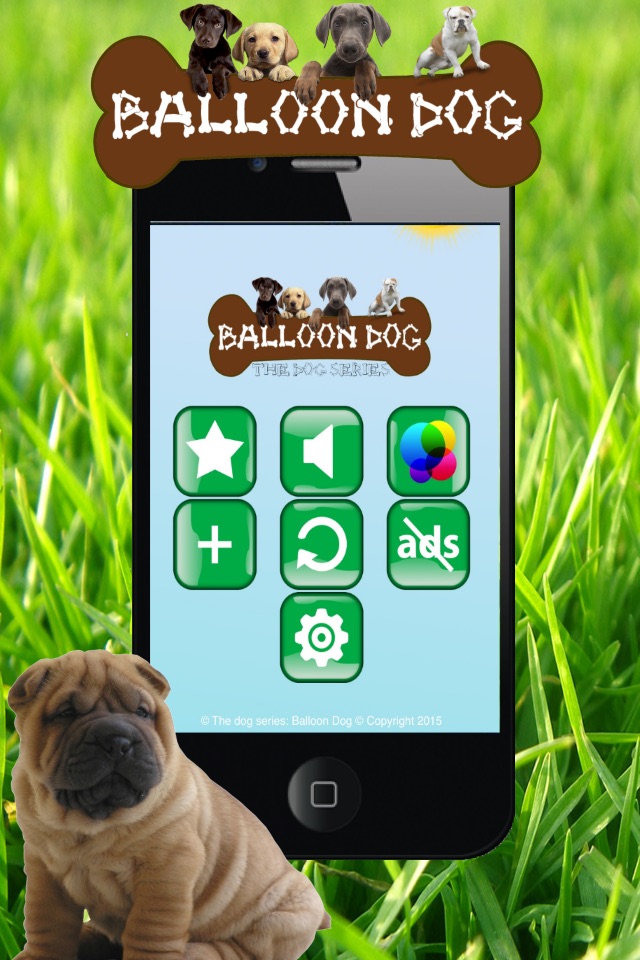 Dog series: Balloon Dog screenshot 4