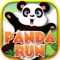 Panda Runs HD